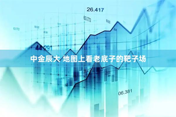 中金辰大 地图上看老底子的靶子场