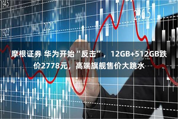 摩根证券 华为开始“反击”，12GB+512GB跌价2778元，高端旗舰售价大跳水