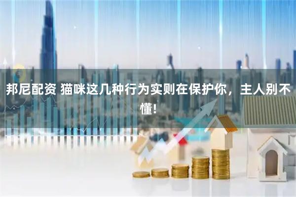 邦尼配资 猫咪这几种行为实则在保护你，主人别不懂!