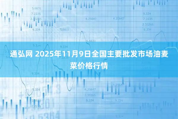 通弘网 2025年11月9日全国主要批发市场油麦菜价格行情