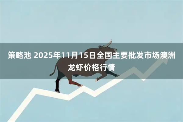 策略池 2025年11月15日全国主要批发市场澳洲龙虾价格行情