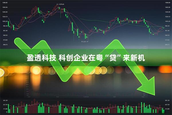 盈透科技 科创企业在粤“贷”来新机