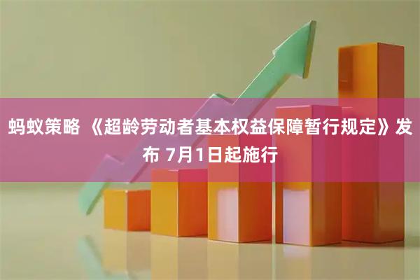 蚂蚁策略 《超龄劳动者基本权益保障暂行规定》发布 7月1日起施行