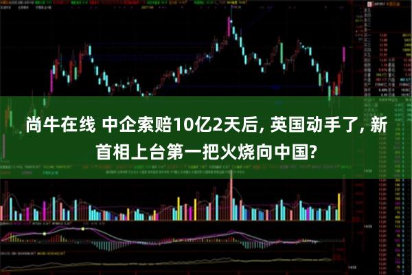 尚牛在线 中企索赔10亿2天后, 英国动手了, 新首相上台第一把火烧向中国?